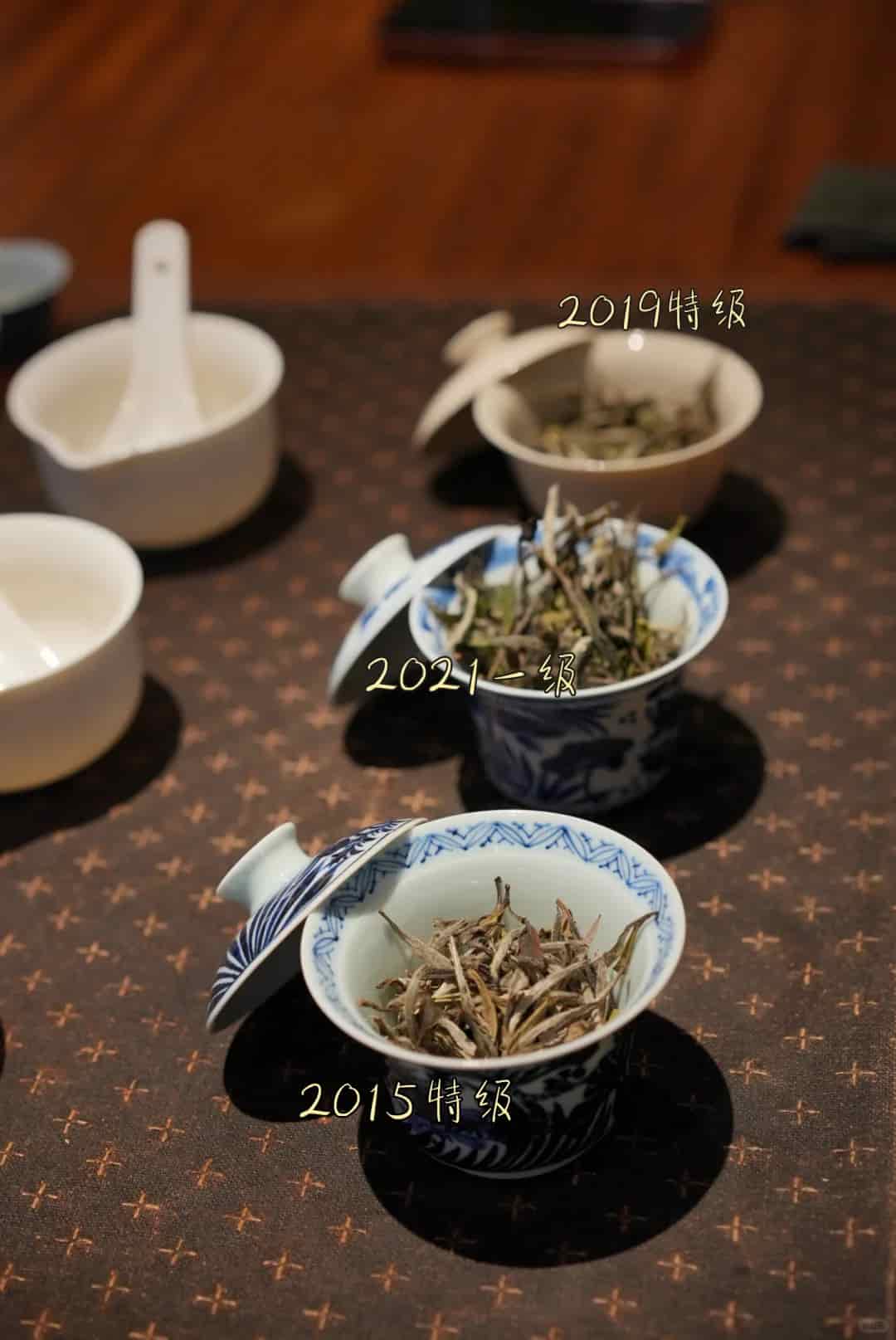 普洱茶入门指南：从生普熟普到班章易武，一篇讲透