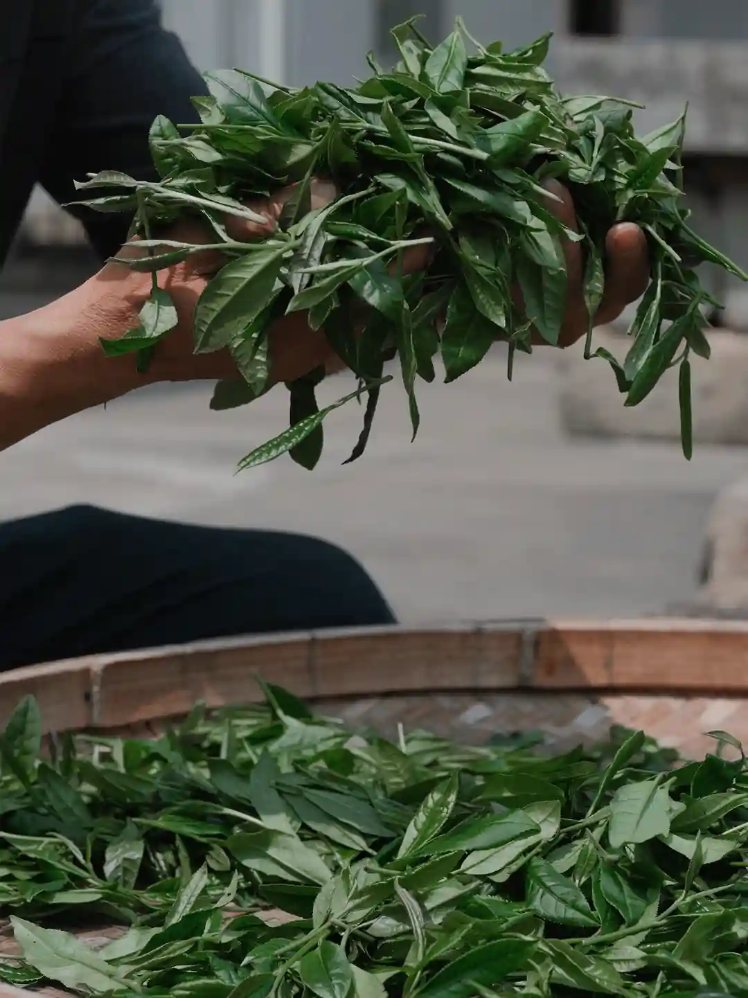 六堡茶的槟榔香，喝过才懂