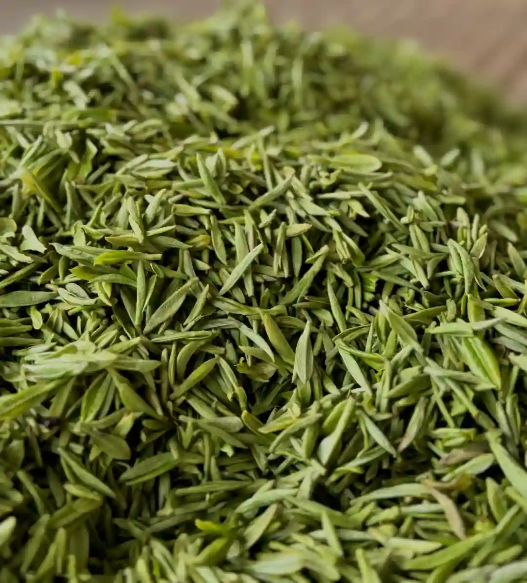 头春茶、二春茶、秋茶，什么时候的茶最好？